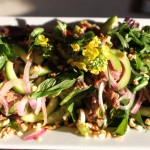 Thai beef salad