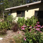 A rammed Earth Studio