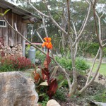 A Rustic Bath House