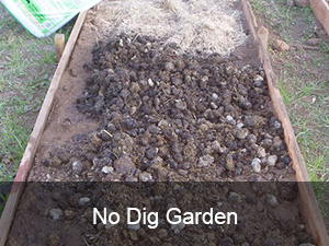 Garden toTable - No Dig Garden
