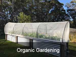 Organic Gardening