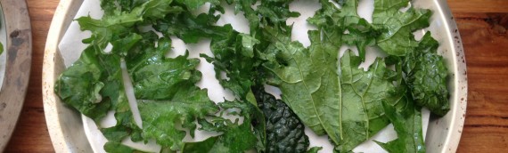 Recipe for Kale Chips