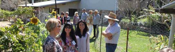 International Permaculture Day, May 1st 2016